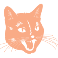 Catcall – Intersectional feminists who #catcallback at the patriarchy